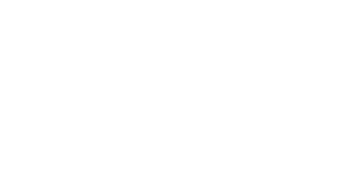 Logo Ancha